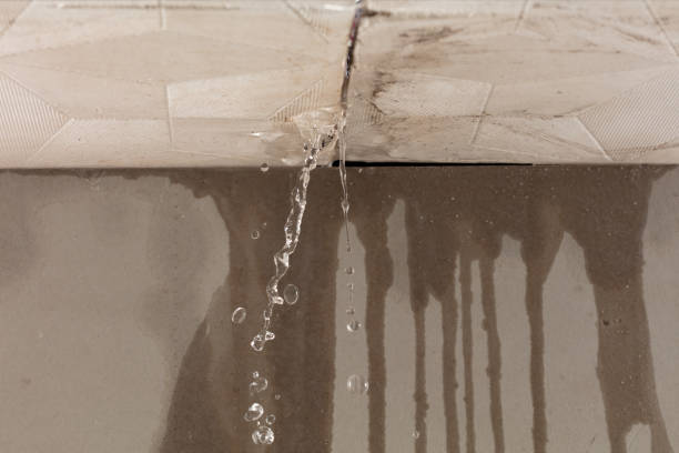 Professional Flood Damage Cleanup technician working in Elysian, MN